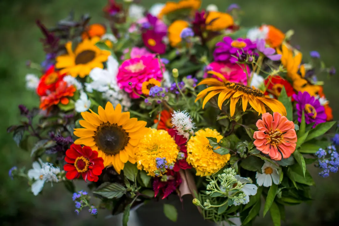 Le bouquet du moment
